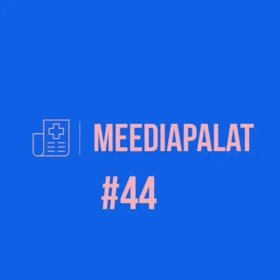 #44 Tegevväelasest politseinikuks. Külas on Emil Helder.