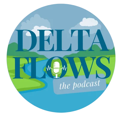 Delta Flows