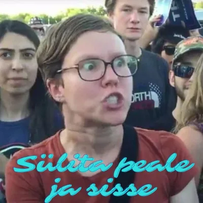 Sülita peale ja sisse