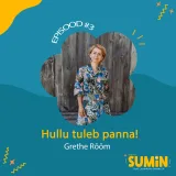 SUMIN #3 Grethe Rõõm: Hullu tuleb panna!