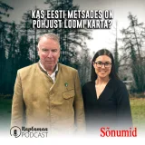 Kas Eesti metsades on põhjust loomi karta?