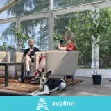 Saun keset linna - kellele kuulub avalik ruum?