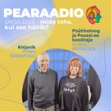 Osa #53 Üksildus: mida teha, kui see häirib?