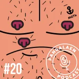 #20 - nou komments ehk helmed