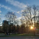 3.8 Tallinn is the Green Capital of Europe