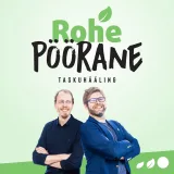 Miks ei sobi tuumajaam Eestile energiat tootma?