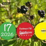 Bashment FM 2026'17