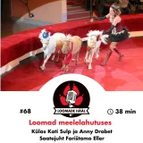 Loomade Hääl #68: Kati Sulp ja Anny Drobet - Loomad meelelahutuses