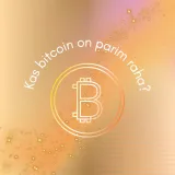 Kas bitcoin on parim raha? Külas Martin Kork