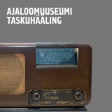 Edgaripäevast roosiaiani. Taasiseseisvumispäev läbi 35 aasta